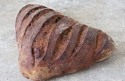 batard_figfinal