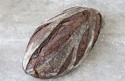 batard_maltedbrownfinal